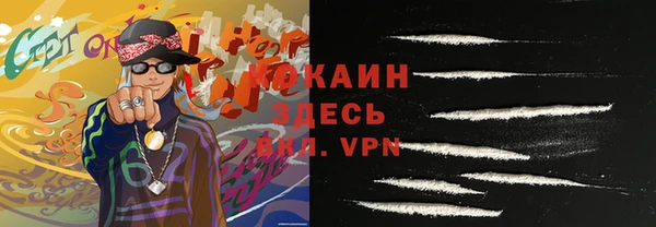 индика Лагань