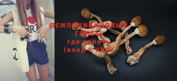 индика Лагань