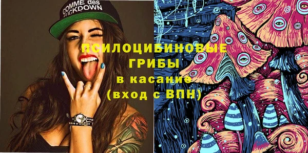 индика Лагань