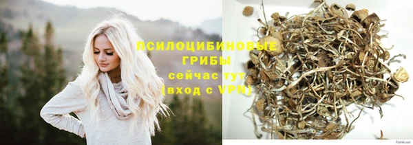 индика Лагань