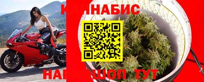 спиды Донской