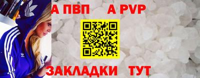 спиды Донской