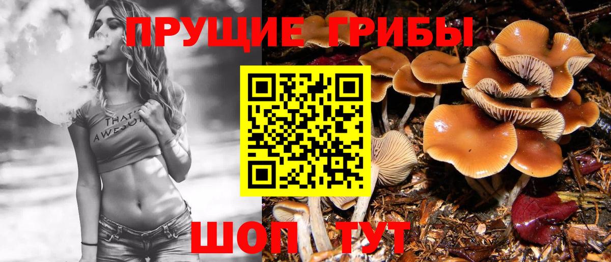 Псилоцибиновые грибы мухоморы  Вход с VPN  Чебаркуль 